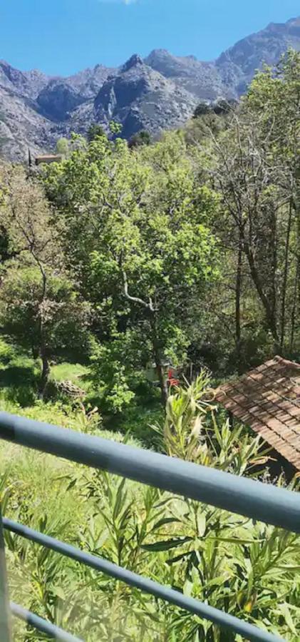 Maison Avec Jacuzzi Au Coeur Des Montagnes Feliceto Εξωτερικό φωτογραφία